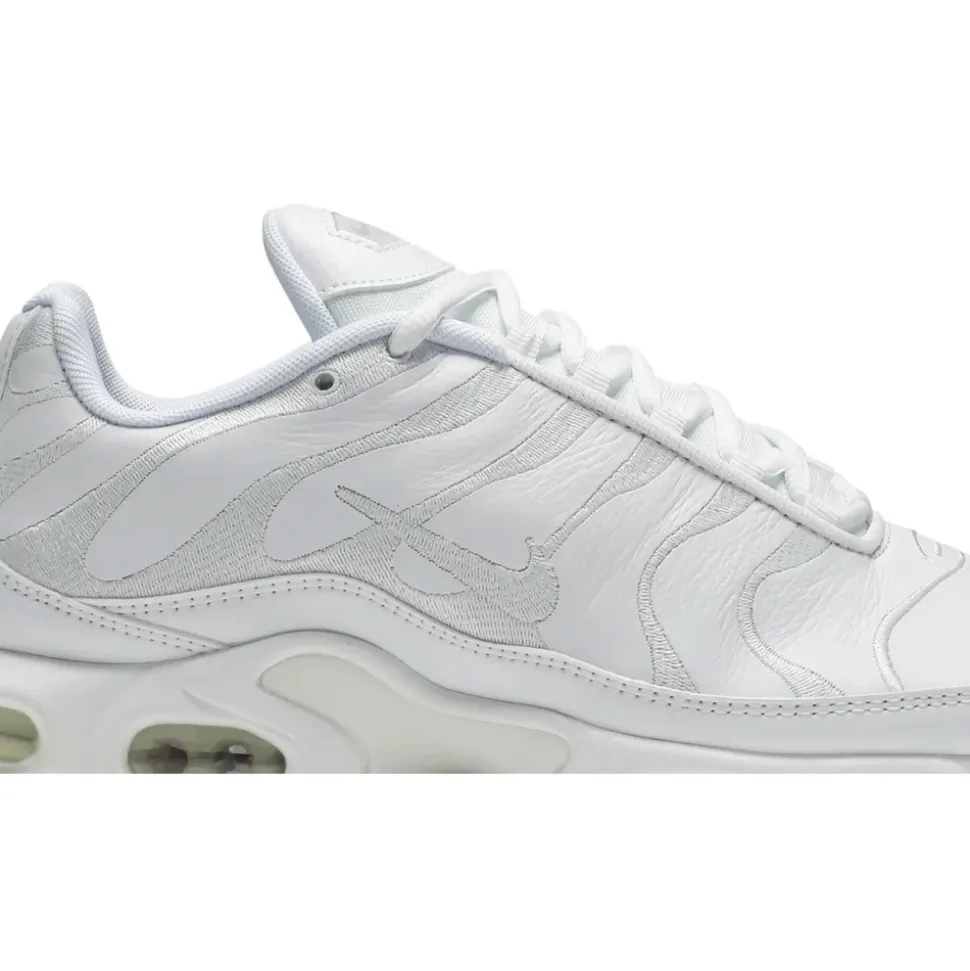 Air Max Plus