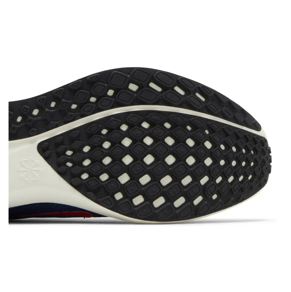 Air Zoom Pegasus 41