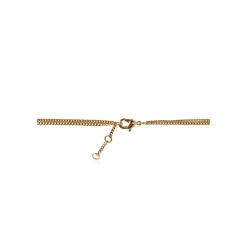 Collana Gesù