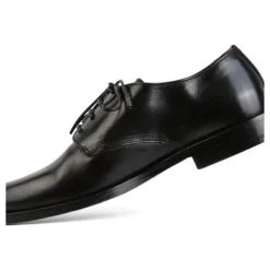 Derby stringate spazzolate