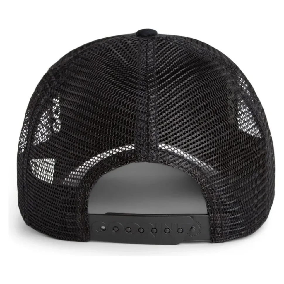Dragon Wings Fury Trucker Cap