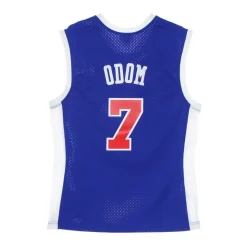 Hardwood Classics Swingman Jersey