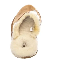 HYDE - Pantofole Uomo Marroni Uomo UGG