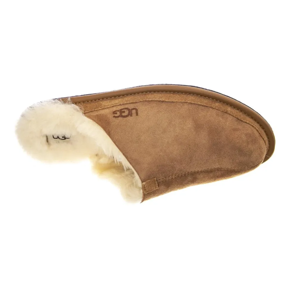 HYDE - Pantofole Uomo Marroni Uomo UGG