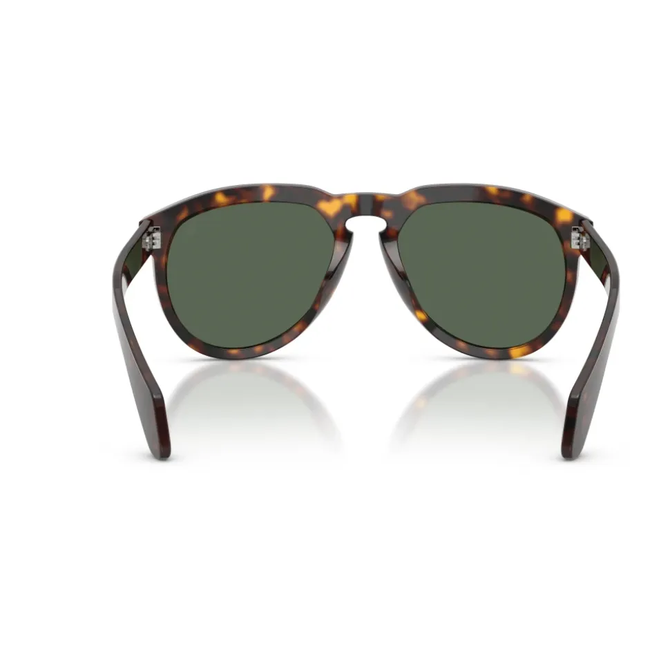 Isopleth Sunglasses