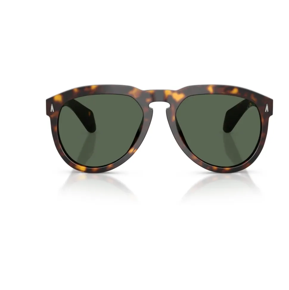 Isopleth Sunglasses