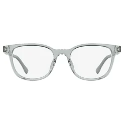 L3669 Optical Frame