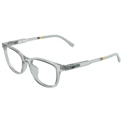 L3669 Optical Frame