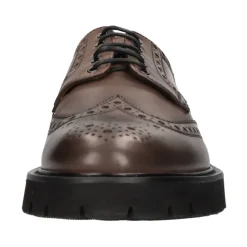 Laced Shoes