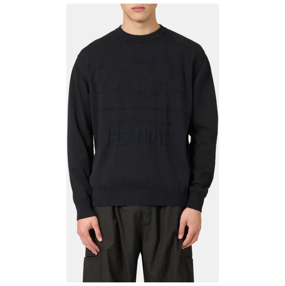 Maglione Girocollo in Cotone con Intarsio Peanuts