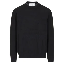 Maglione Girocollo in Cotone con Intarsio Peanuts