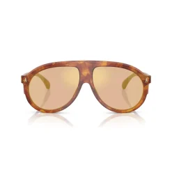 Occhiali da sole alla moda in Havana/Marrone