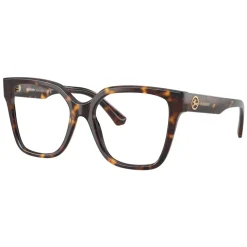 Optical Frame