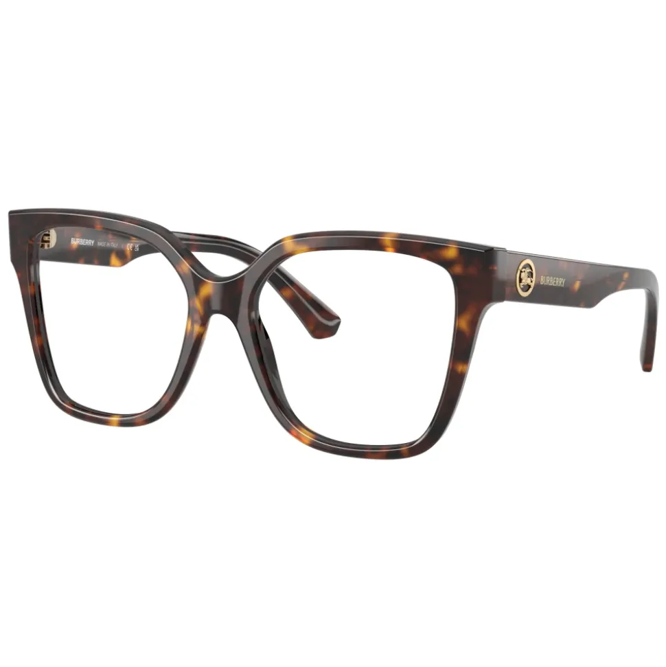 Optical Frame