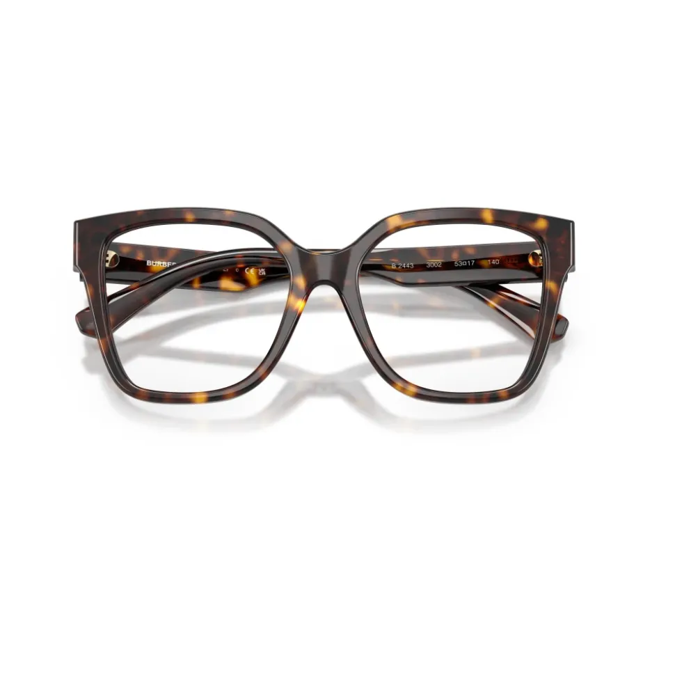 Optical Frame