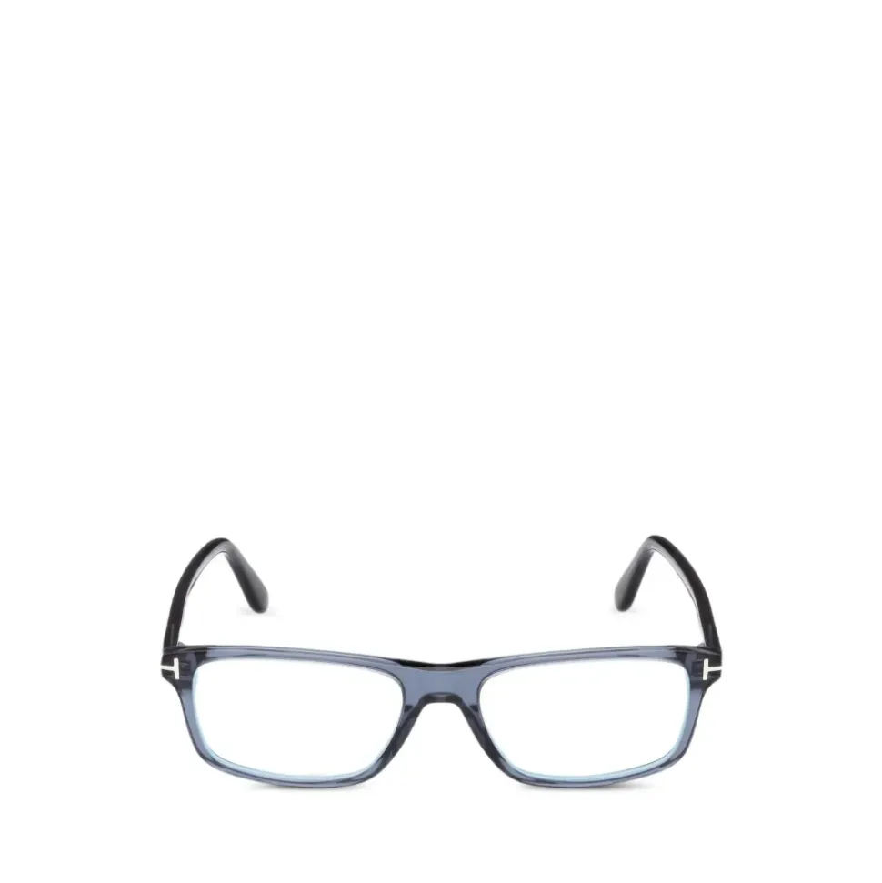 Optical Frame