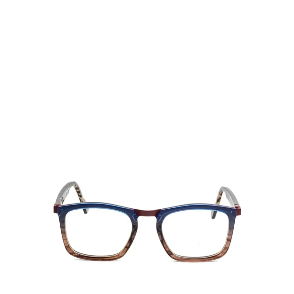 OTOMO2 Optical Frame