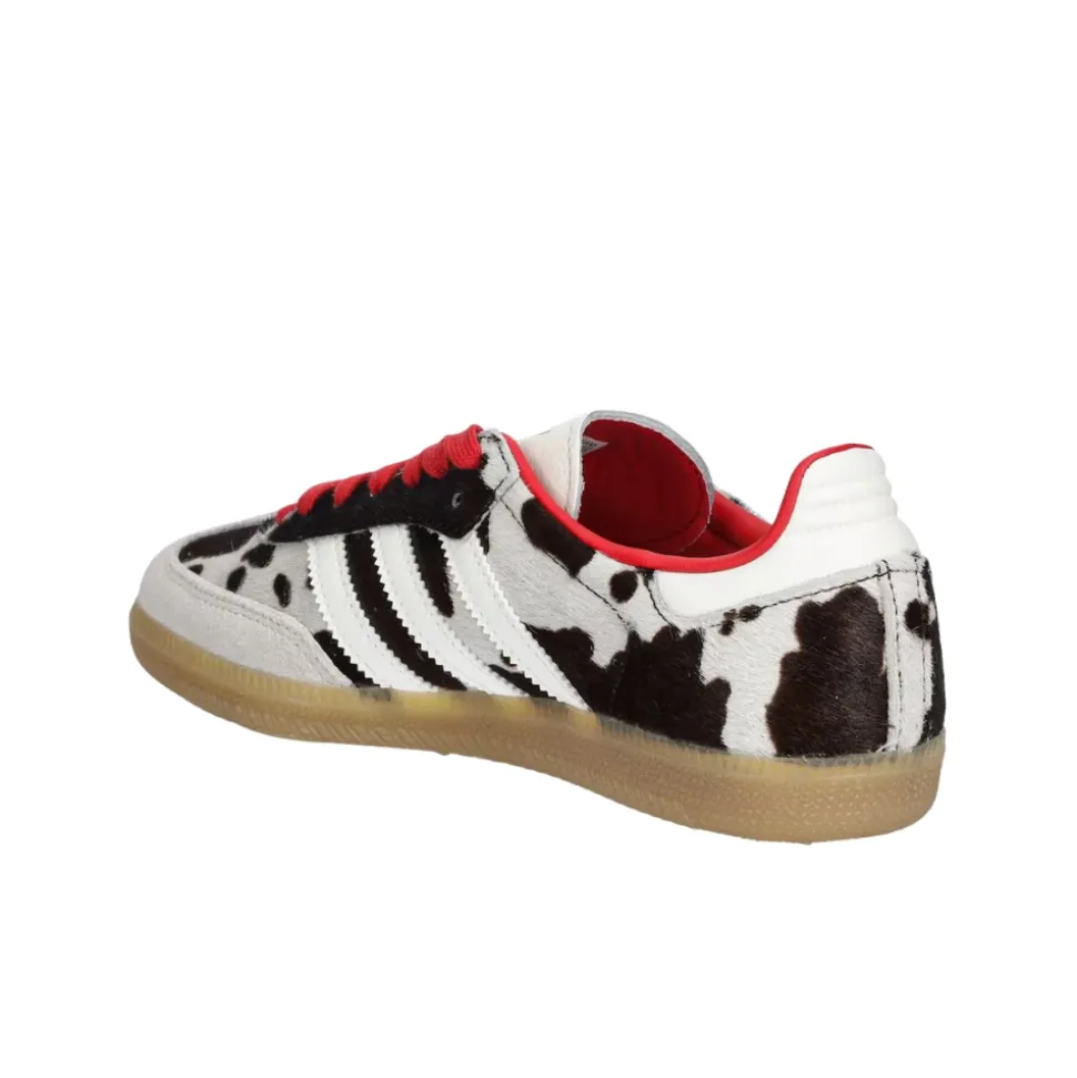 Samba OG Aurora Coffee