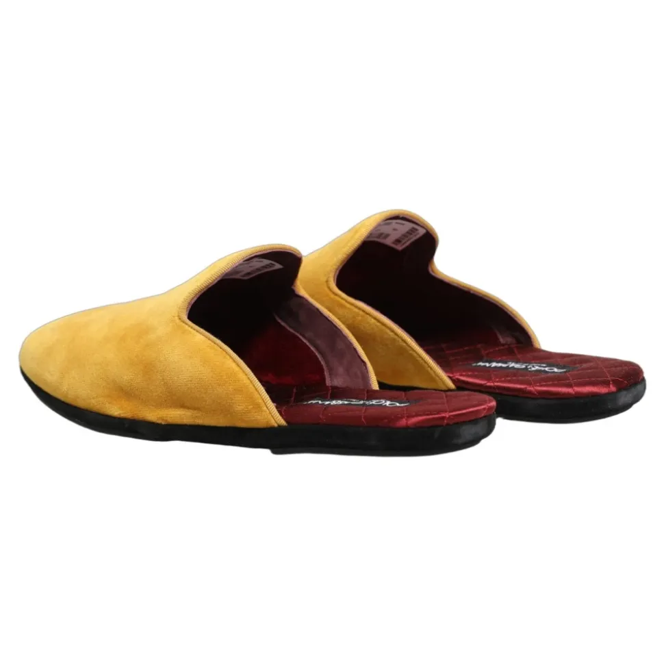 Slides