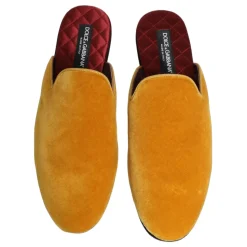 Slides