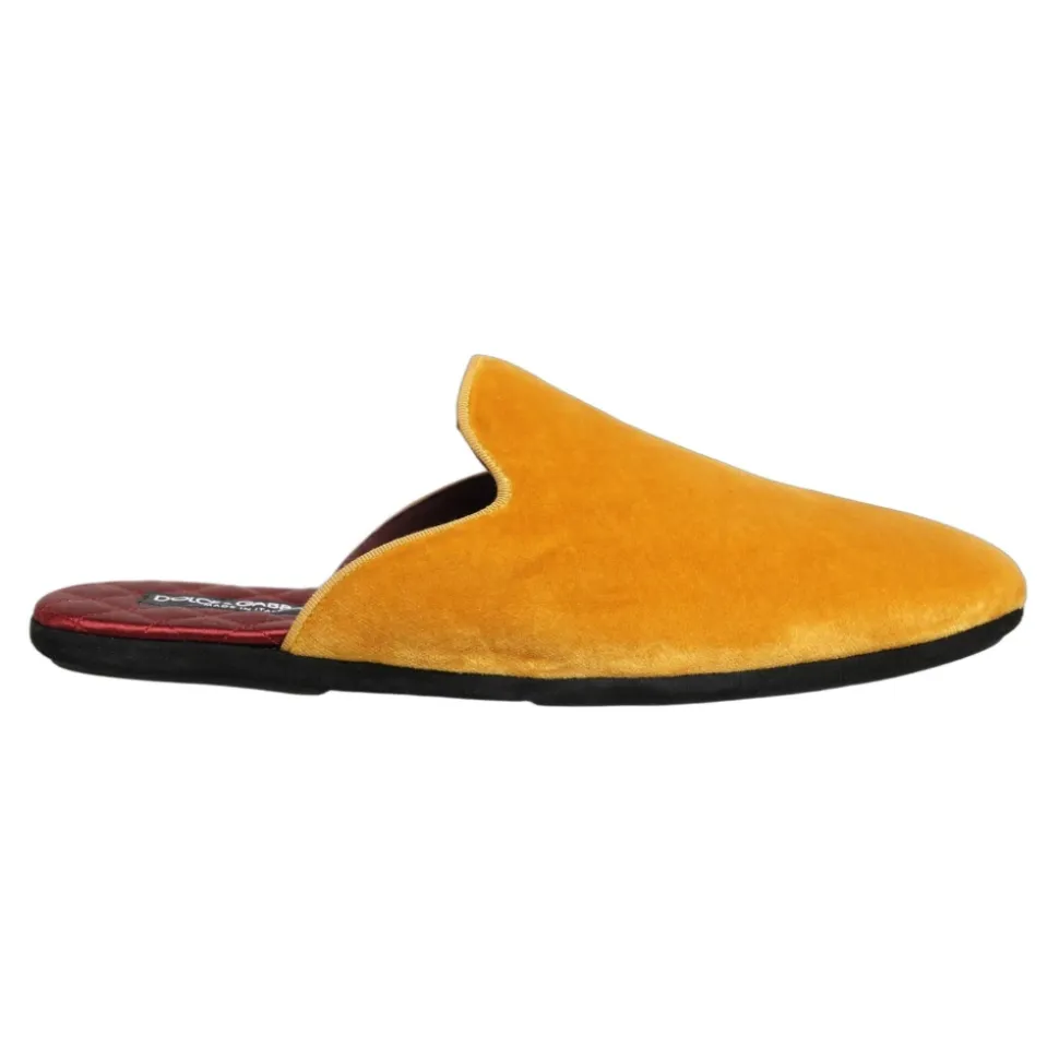 Slides