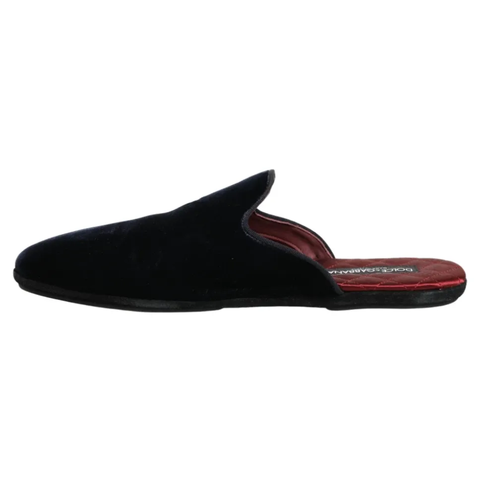 Slides