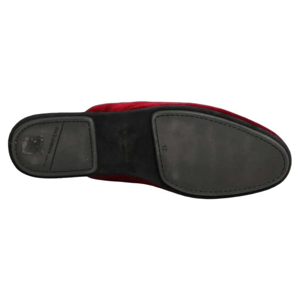 Slides