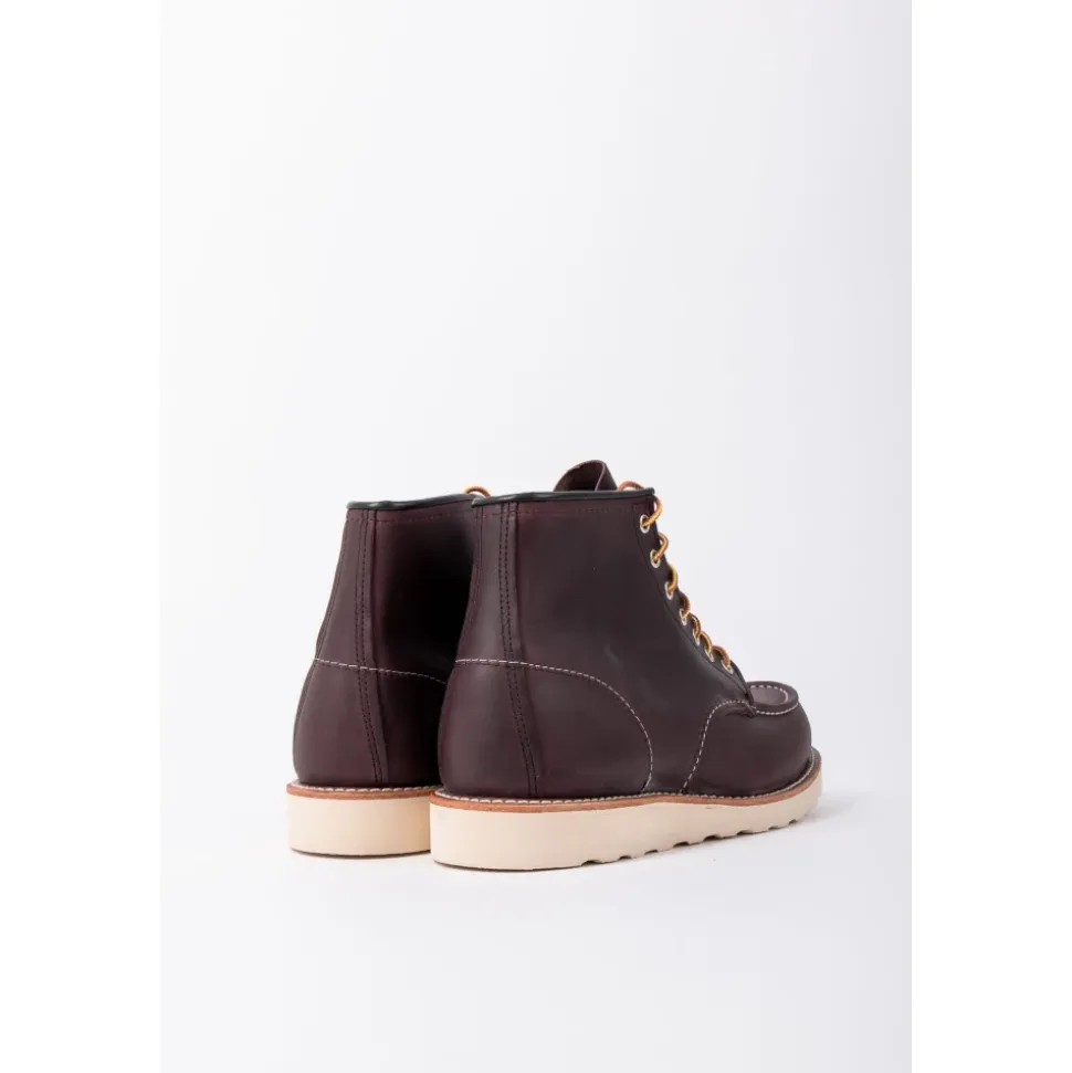 Stivali stringati Moc Toe