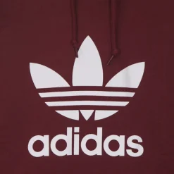 Sweatshirts & Hoodies