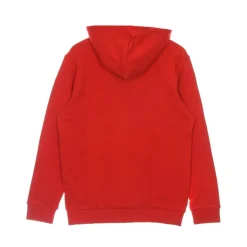 Sweatshirts & Hoodies